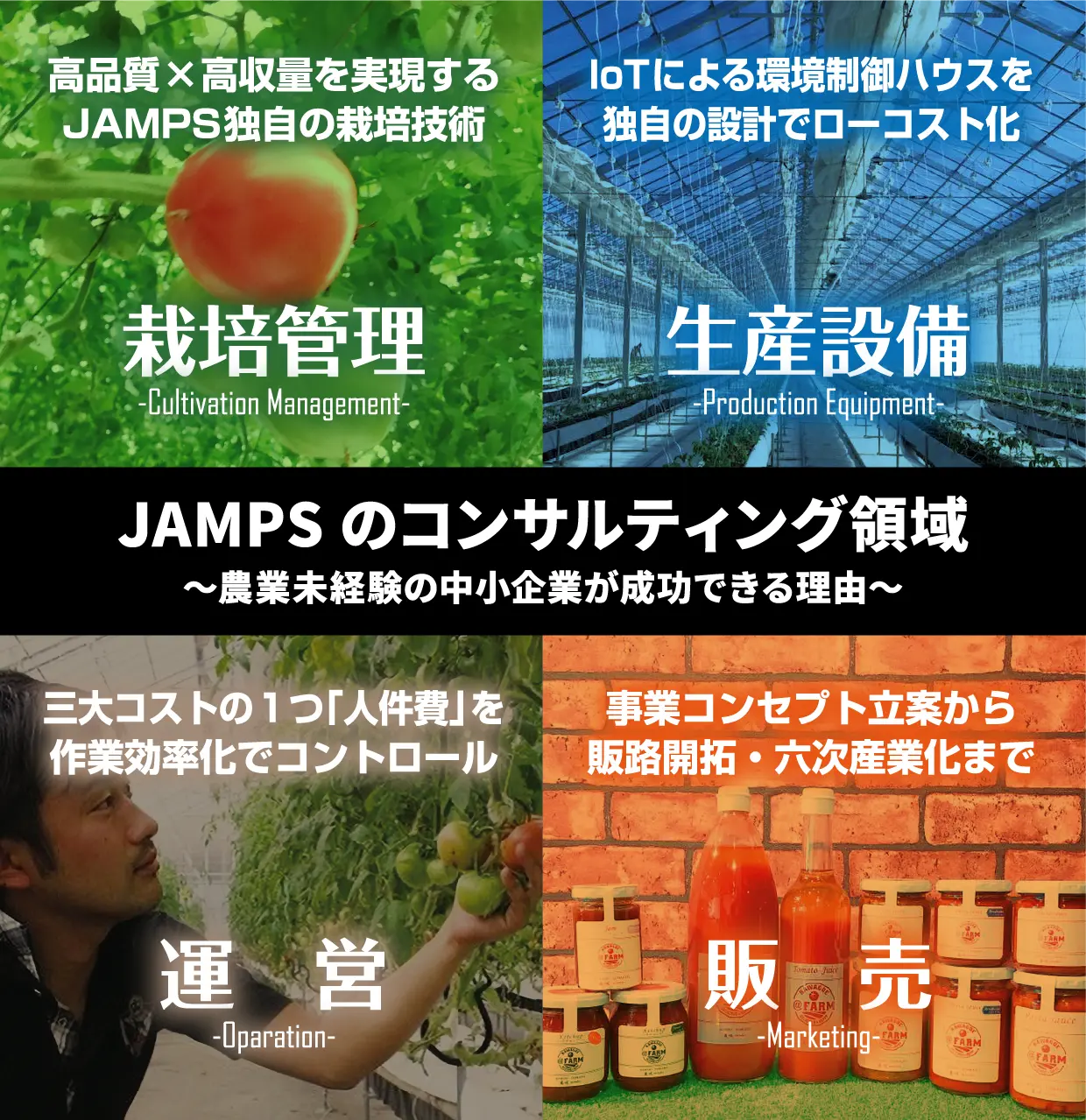 イラスト：JAMPSのコンサルティング領域